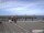 Webcam in Havneby (Rømø), 77.2 km entfernt