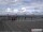 Webcam in Havneby (Rømø), 92.3 km