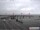 Webcam in Havneby (Rømø), 50.7 km entfernt