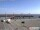 Webcam in Havneby (Rømø), 20.5 km