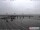 Webcam in Havneby (Rømø), 54.1 km
