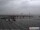 Webcam in Havneby (Romo), 50.7 km