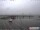 Webcam in Havneby (Rømø), 54.6 km entfernt
