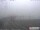 Webcam in Havneby (Rømø), 65 km