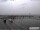 Webcam in Havneby (Rømø), 37.8 mi away