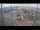Webcam in Kirkwall, 63.8 mi away