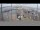 Webcam in Kirkwall, 166 mi away