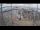 Webcam in Kirkwall, 162 mi away