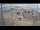 Webcam in Kirkwall, 419.9 km entfernt