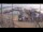 Webcam in Kirkwall, 395.8 km