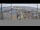 Webcam in Kirkwall, 411.8 km entfernt