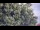 Webcam in Nigran, 84.6 km
