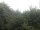 Webcam in Herdecke, 12.5 km