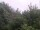 Webcam in Herdecke, 4.8 km