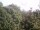 Webcam in Herdecke, 10.8 km entfernt