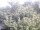 Webcam in Herdecke, 4.9 mi away
