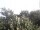 Webcam in Herdecke, 11.9 mi away
