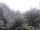 Webcam in Herdecke, 12.5 km