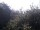 Webcam in Herdecke, 30.7 km entfernt