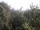 Webcam in Herdecke, 12.5 km entfernt