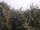 Webcam in Herdecke, 5 mi away