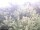 Webcam in Herdecke, 0.7 mi away