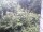 Webcam in Herdecke, 12.5 km entfernt