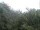 Webcam in Herdecke, 7.8 mi away