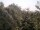 Webcam in Herdecke, 4.9 mi away