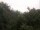 Webcam in Herdecke, 4.9 mi away