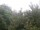 Webcam in Herdecke, 4.8 mi away