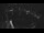 Webcam in Bregenz, 4.5 mi away