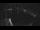 Webcam in Bregenz, 5.1 mi away