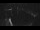 Webcam in Bregenz, 2.7 mi away