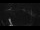 Webcam in Bregenz, 1.5 mi away