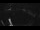 Webcam in Bregenz, 3.9 km