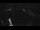 Webcam in Brégence, 3.9 km