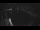Webcam in Bregenz, 0.9 mi away