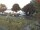 Webcam in Tönning, 21.4 km