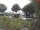Webcam in Tönning, 21.5 km entfernt