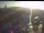 Webcam in Altenburg, 15.1 mi away