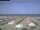 Webcam in Marina di Pisa, 4.3 mi away