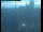 Webcam in Aberdeen, 337.9 km