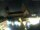 Webcam in Mainz, 10.7 mi away