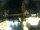 Webcam in Magonza, 21.9 km