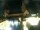 Webcam in Mainz, 1.6 mi away