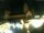 Webcam in Magonza, 31.1 km