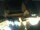 Webcam in Mainz, 10.7 mi away