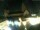Webcam in Mainz, 9.6 mi away