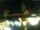 Webcam in Mainz, 10.7 mi away